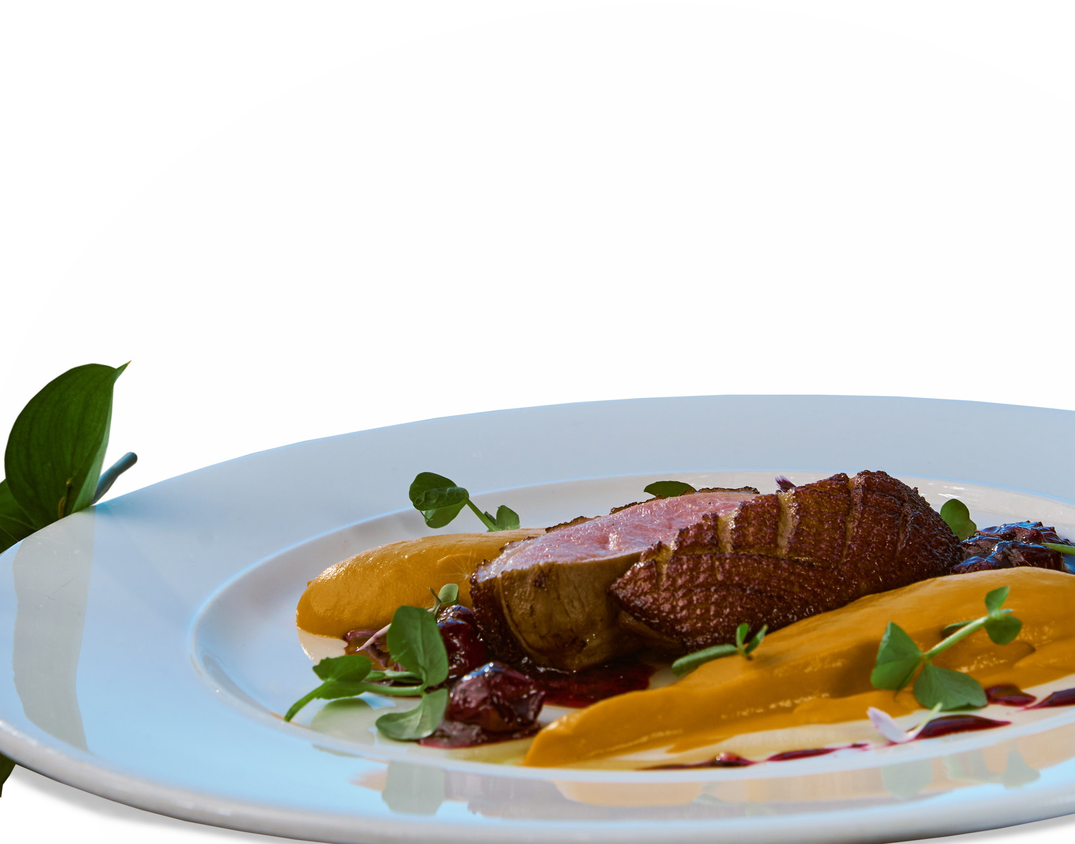 Акции в ресторане Robinson Club — скидки на ужины и банкетные меню